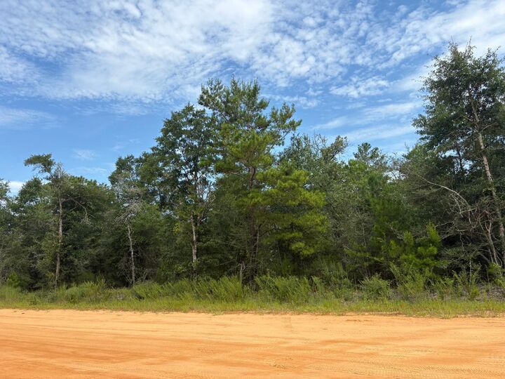 Property Photo: Lots Xxx W Royal Palm Avenue FL 32433