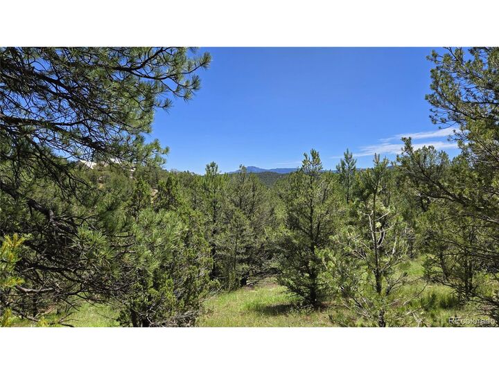 Property Photo: 20 Colorado Mountain Lake Estates CO 81082