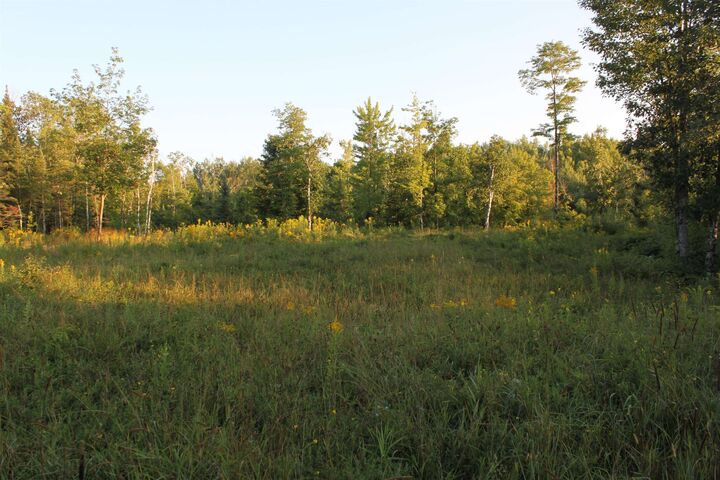 Property Photo:  000 Redinger Rd  WI 54806 