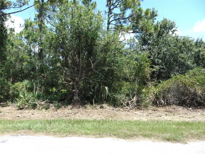 Property Photo:  23376 Corinne Avenue  FL 33980 