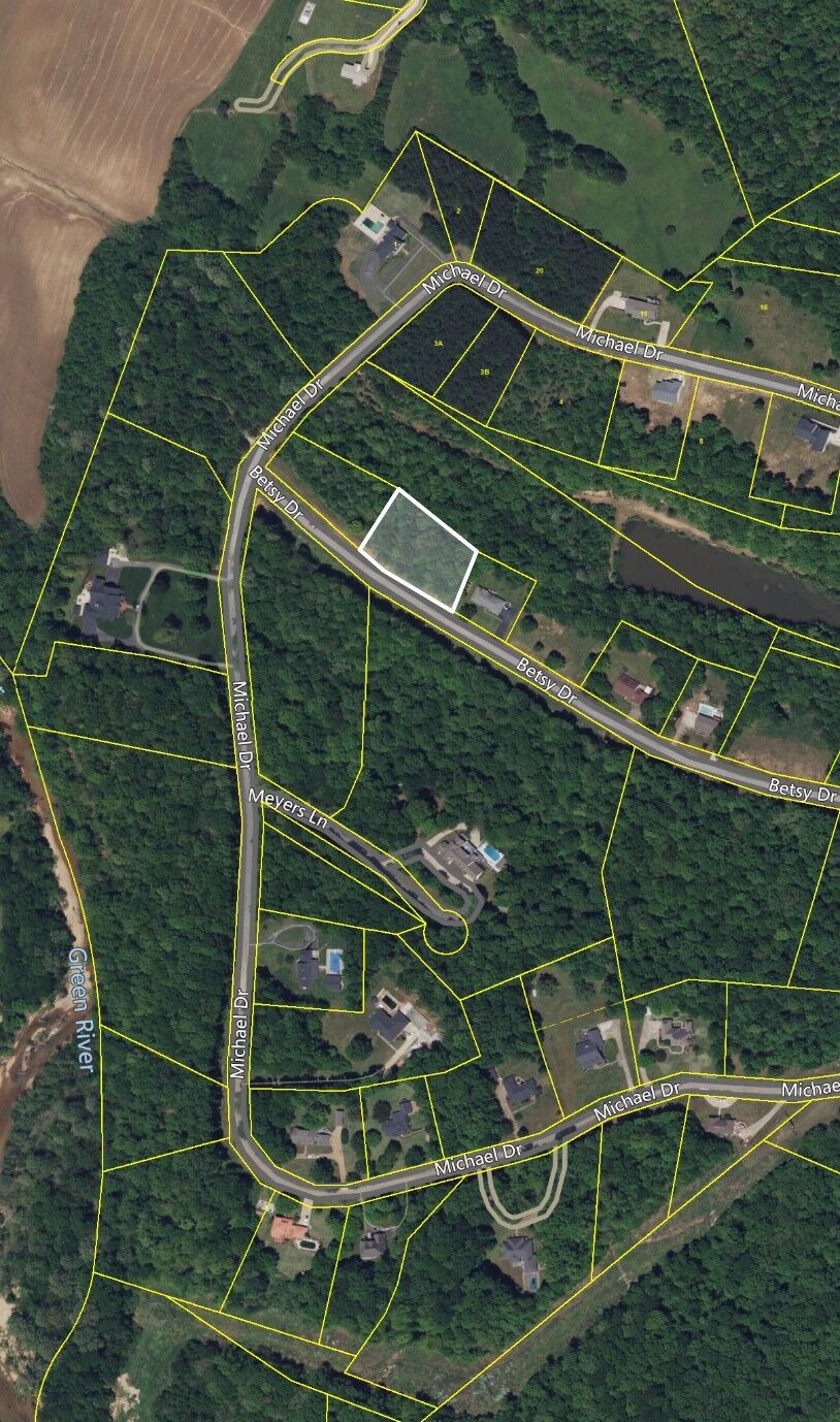 Property Photo: 0 Betsy Dr Lot 2 TN 38485