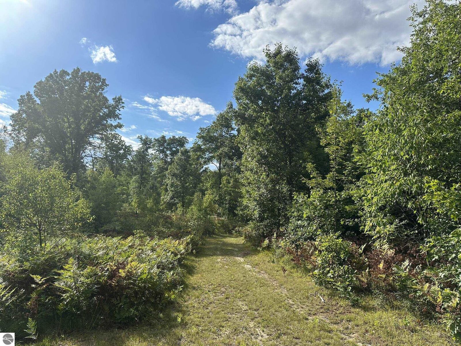 Property Photo:  5304 S Brown Road  MI 49601 