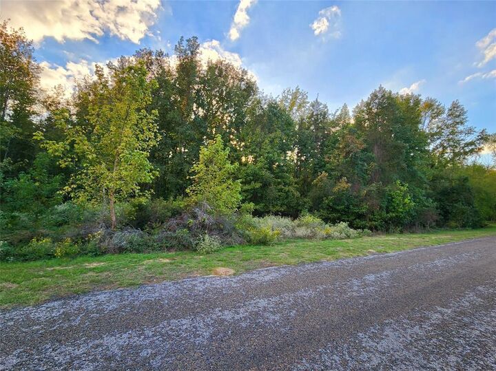 Property Photo:  Lot 283 Eland Trail  TX 75770 