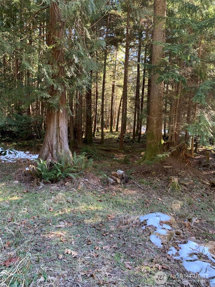 Property Photo: 47 Xx 250th Avenue SE WA 98029