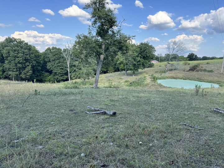 Property Photo:  000 Center Road  MO 65721 