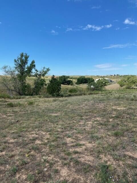 Property Photo: 10001 Snowball Trail TX 79108-1914