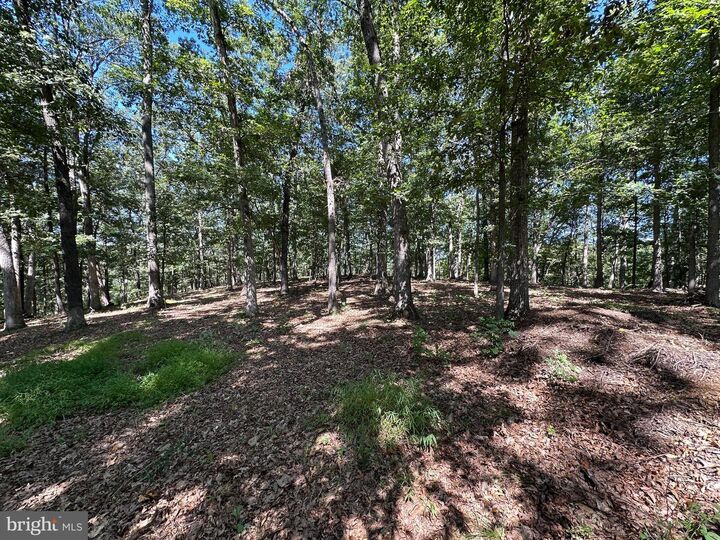 Property Photo: Lot 1B Double Church Road VA 22655