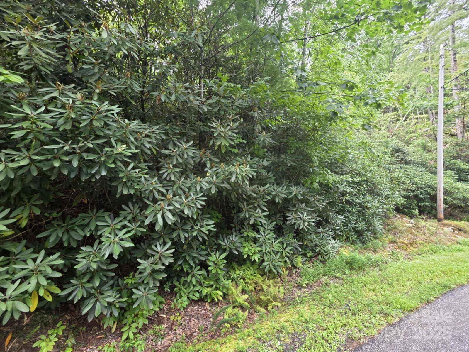 Property Photo: Lot 12 Deer Ridge Trail 12 NC 28752