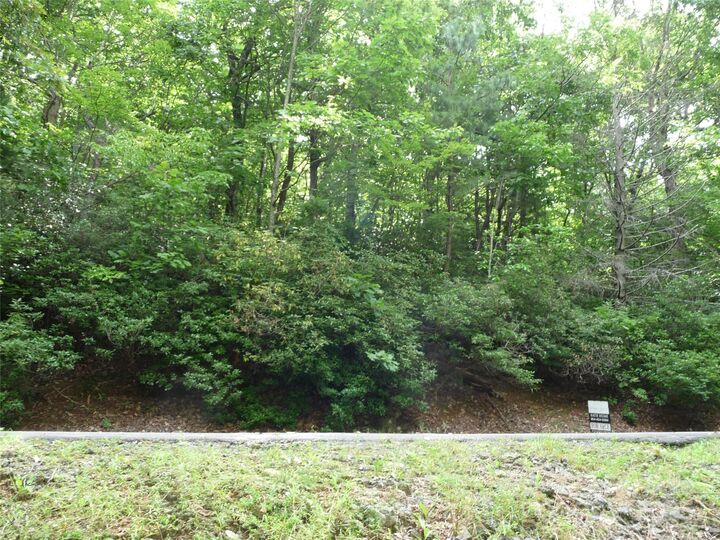 Property Photo: Lot 70 Serpentine Drive Lot 70 NC 28722