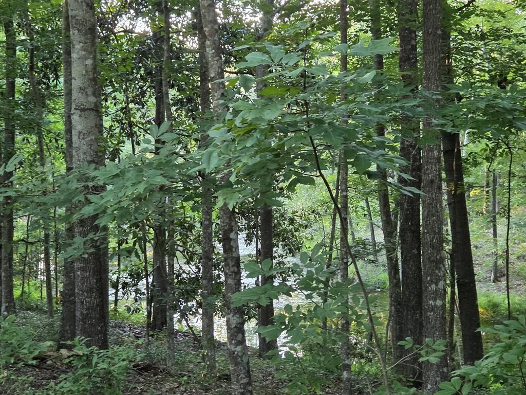 Property Photo: 000 Lakeshore Way GA 31015