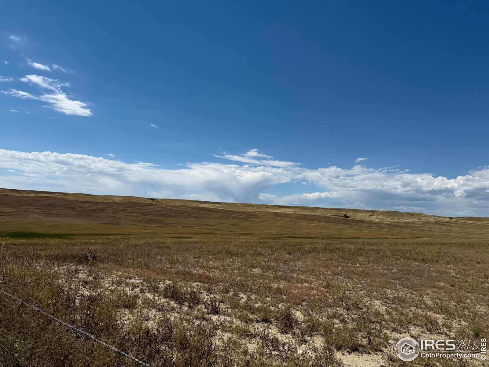 Property Photo:  3 County Road 15  CO 80612 
