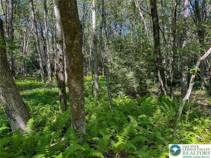 Drake Drive  Penn Forest Twp PA 18229 photo
