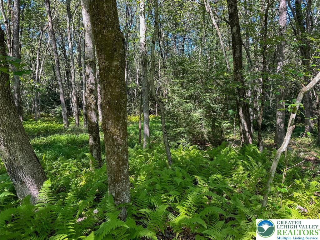Property Photo: Drake Drive PA 18229