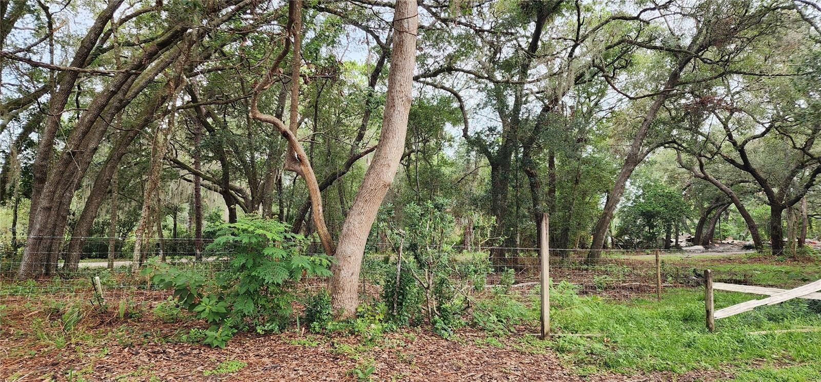 Property Photo:  711 Sunset Avenue  FL 32763 