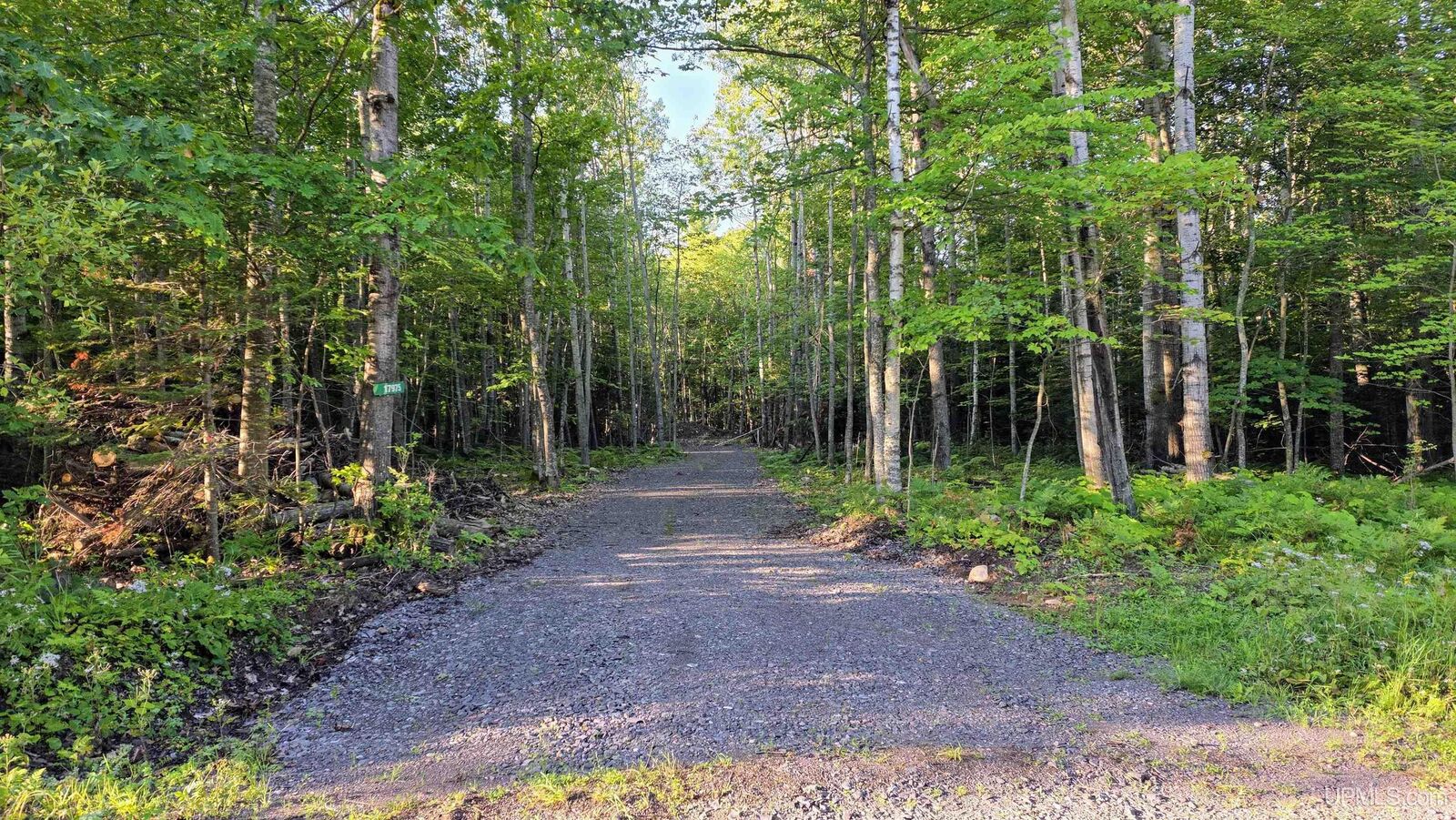 Property Photo: 17975 Bear Lake Road MI 49930
