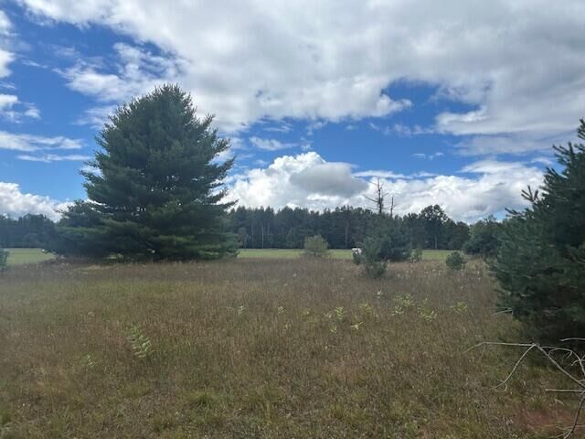Property Photo: 7752 Red Fox Road MI 49346