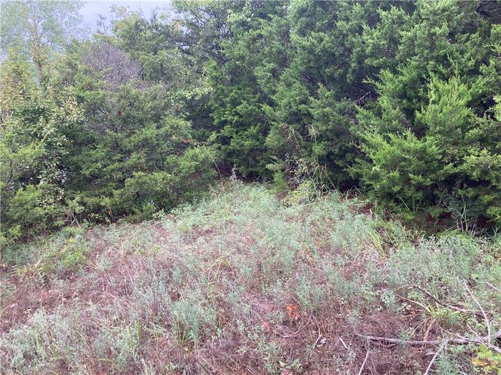 Property Photo: Tbd Hillside Drive AR 72631