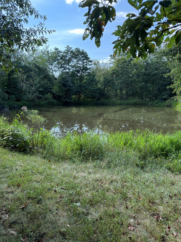 Property Photo: 311 Buchanan Road OH 45690