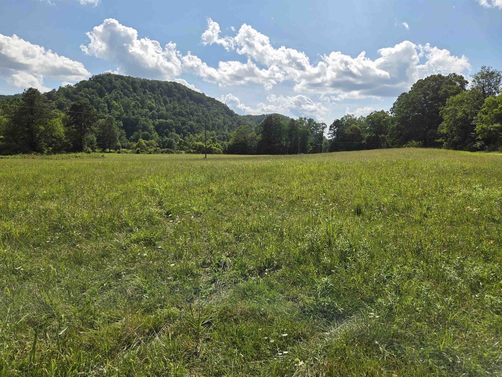 Property Photo: 000 Tar Fork Rd. KY 41175