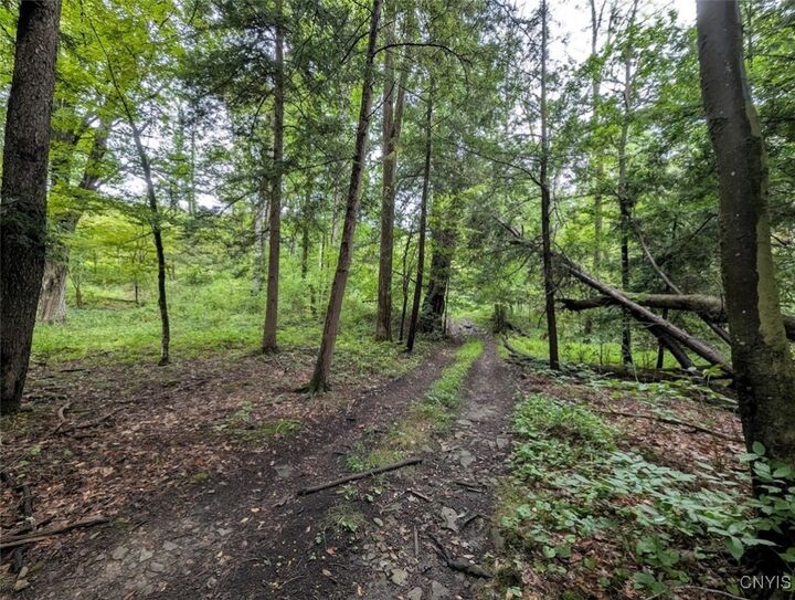Property Photo: State Route 417 NY 14898