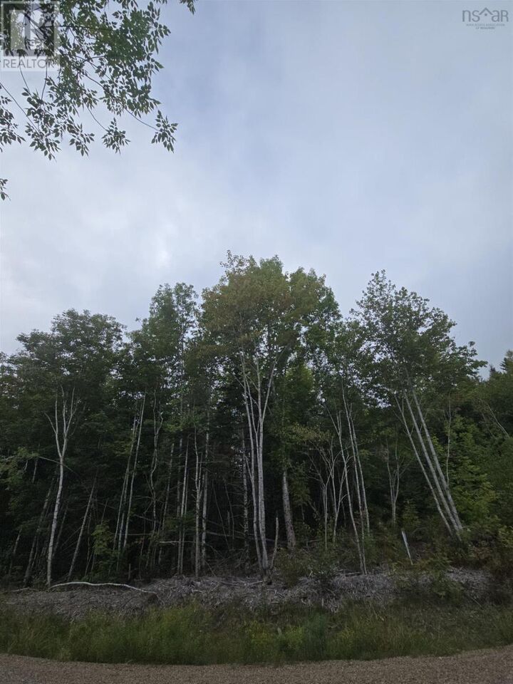 5 Lot  5 Lochiel Lake (West Side)  Lochiel Lake NS B2G 2L3 photo