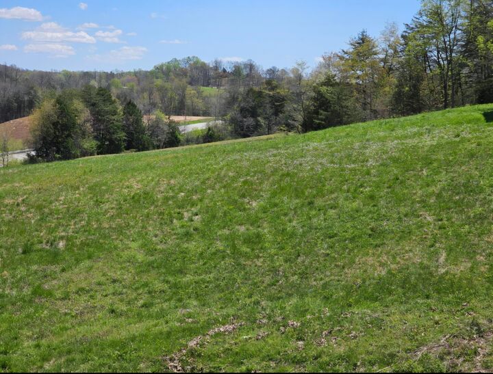 Property Photo:  9999 S. Hwy 127  KY 42528 