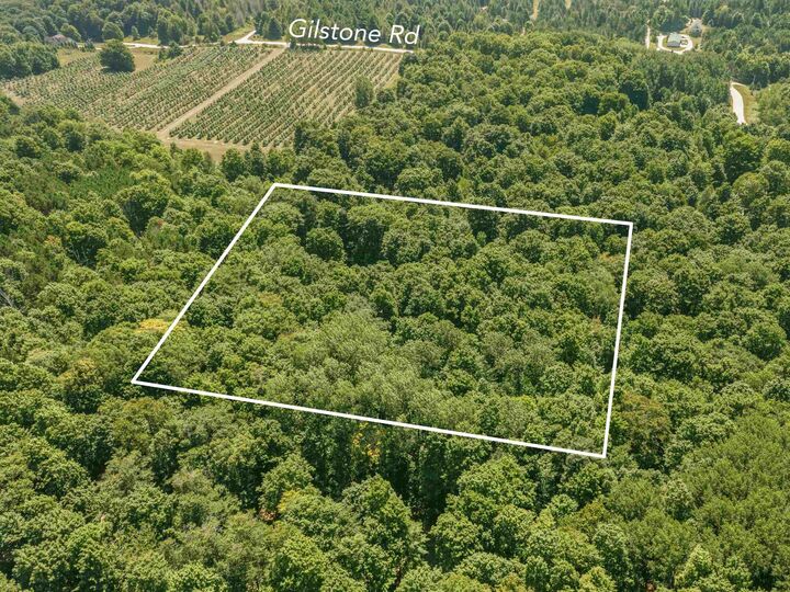 Property Photo: 0 Gilstone Road MI 49617