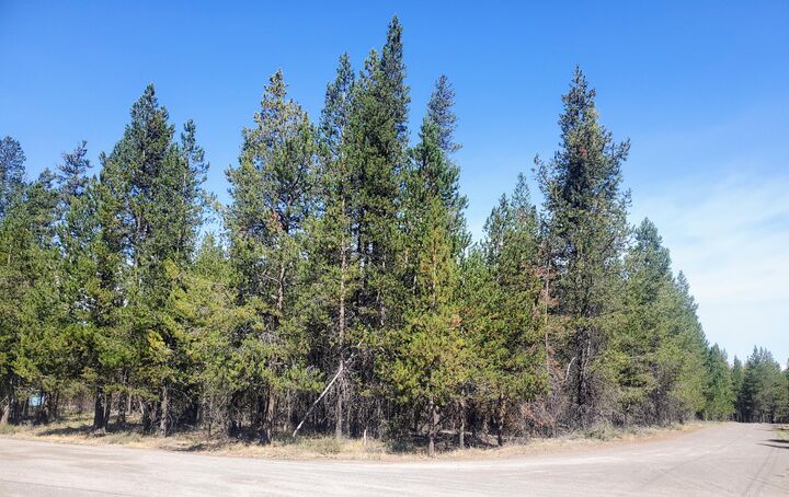 Property Photo: 15734 Paulina Avenue OR 97739