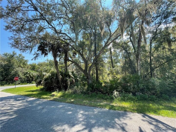 Property Photo: 9602 W Watermelon Lane FL 34428