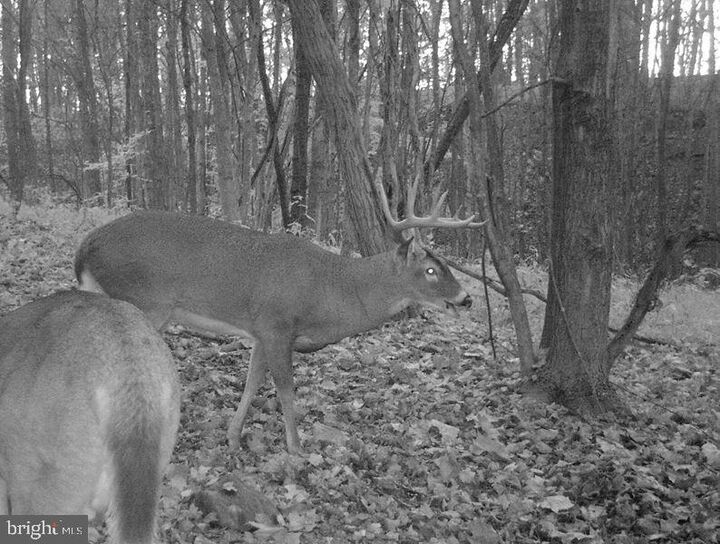 Property Photo:  Route 522  PA 17812 