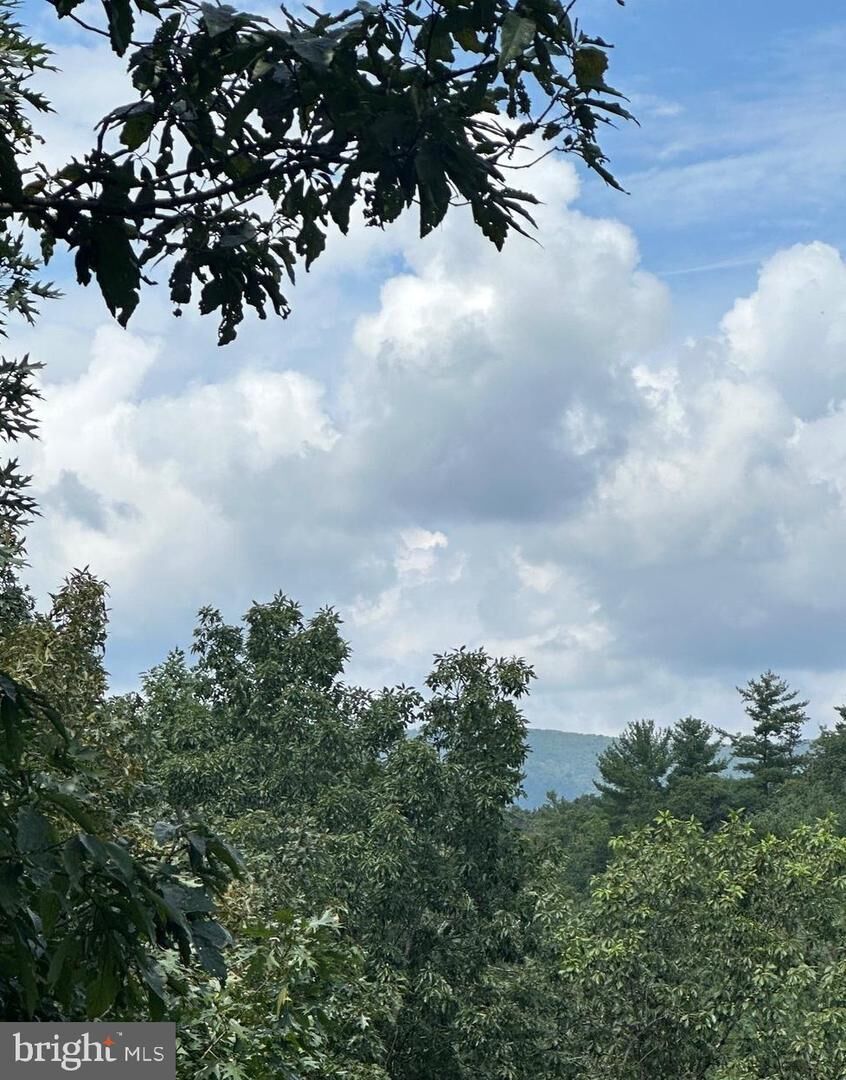 Property Photo:  20 Ewalls Ridge Road  VA 22810 