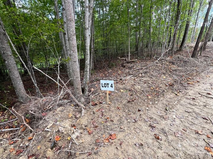 V/L W V Thompson Road 4  Rutherfordton NC 28139 photo