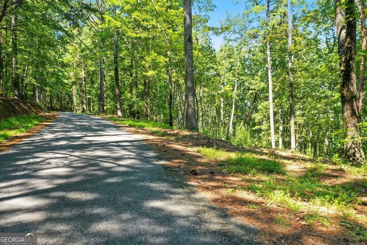 Property Photo:  0 Debord Drive  GA 30183 