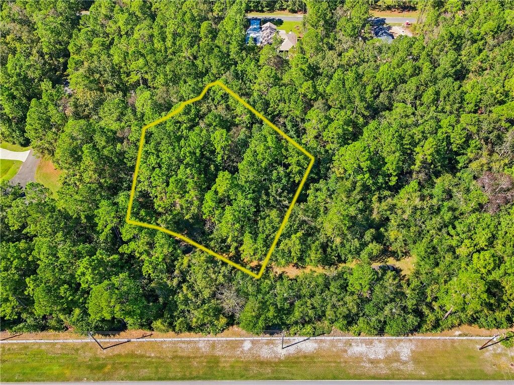 Property Photo:  00 Canoe Run  GA 31569 