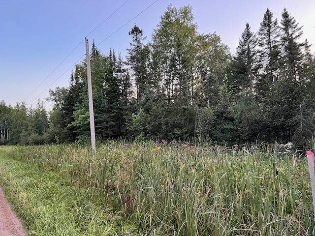 Property Photo: Xxx County Rd 142 MN 55707