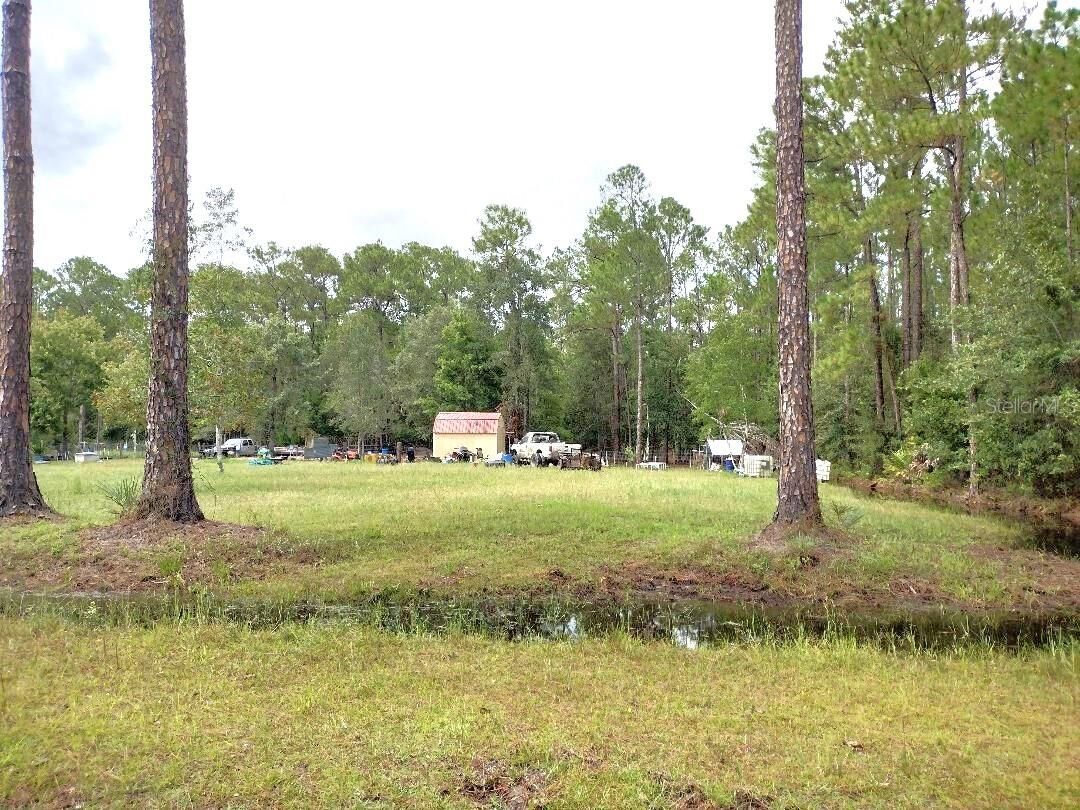 Property Photo: 4408 Clove Avenue FL 32110
