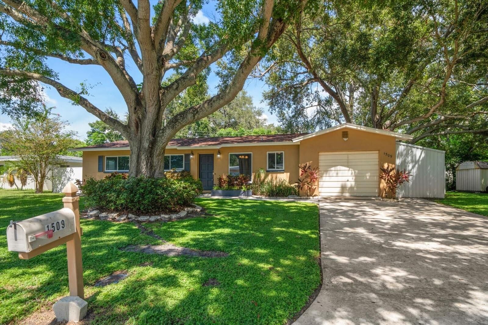 Property Photo:  1509 S Evergreen Avenue  FL 33756 
