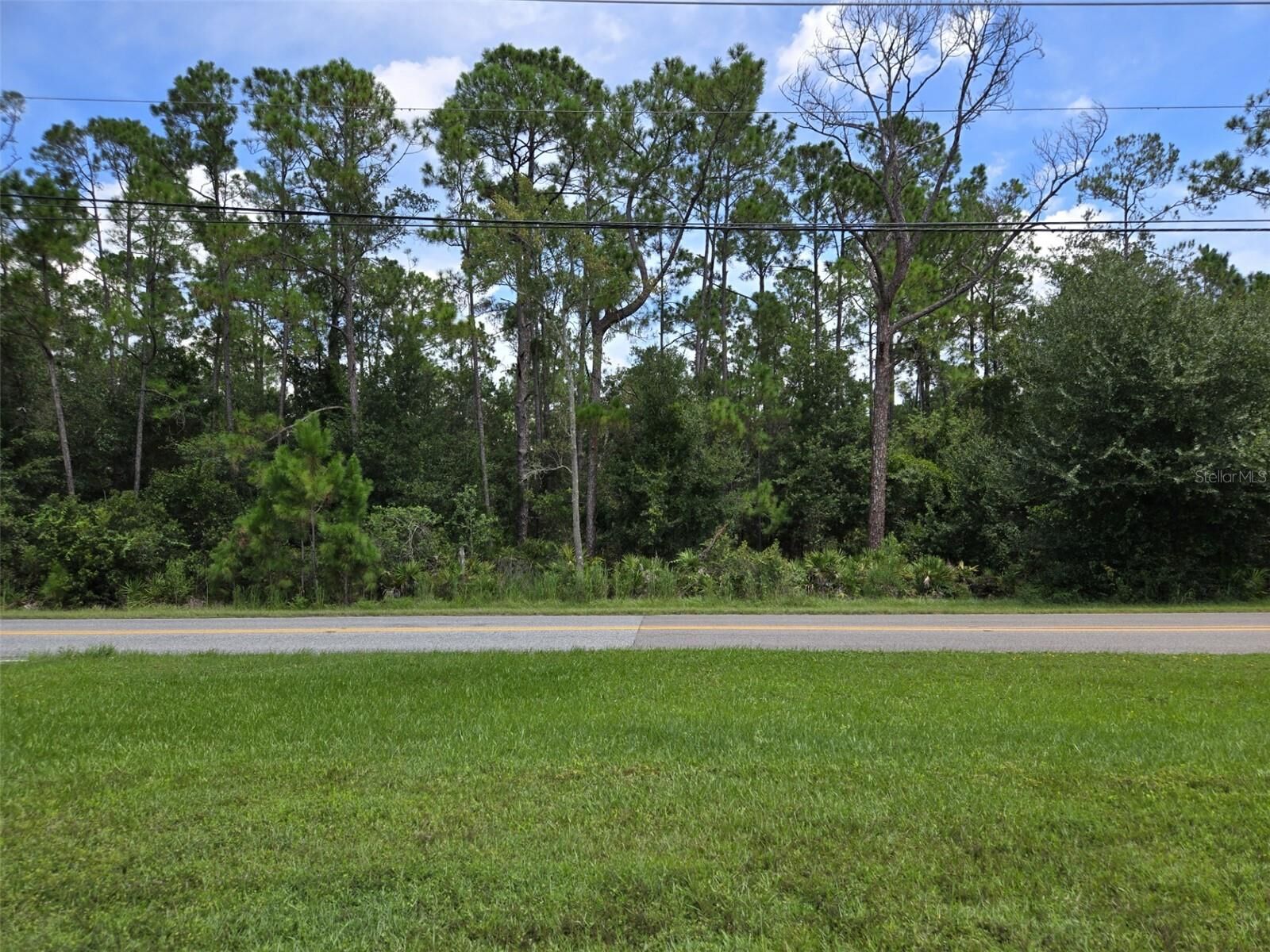 Property Photo:  13887 Reams Road  FL 34786 