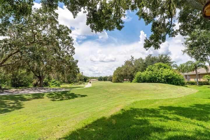 Property Photo:  9117 Woodridge Run Drive  FL 33647 