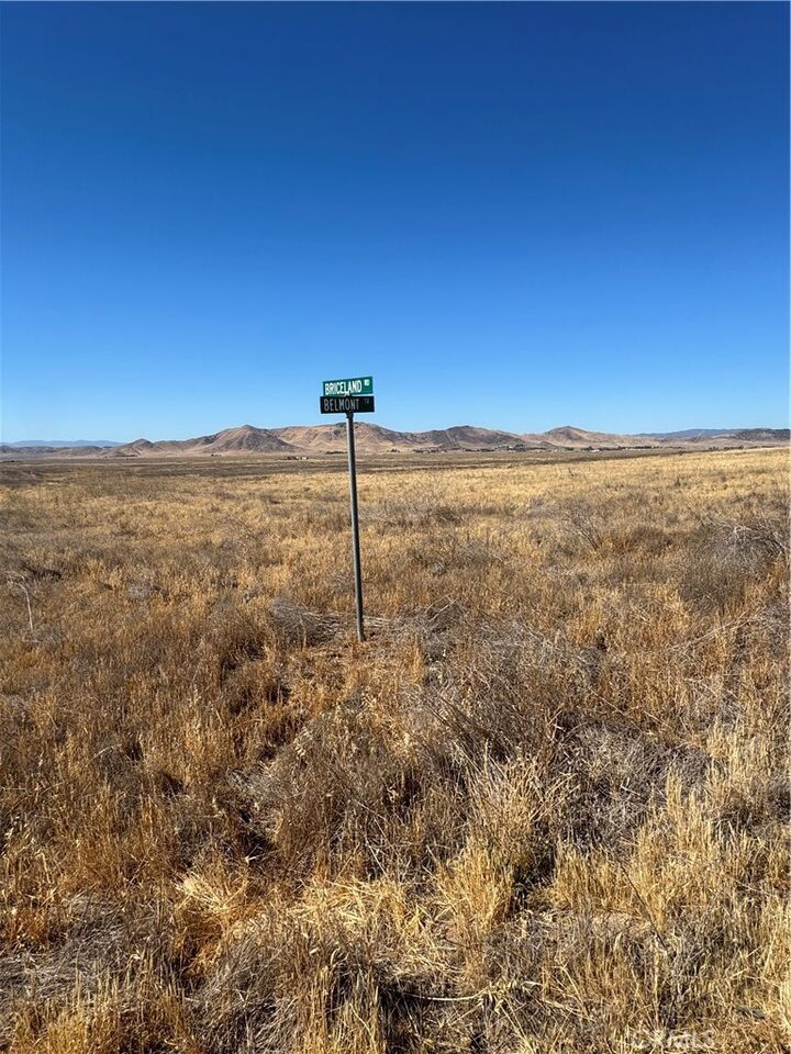 Property Photo: 0 Briceland Road CA 93453