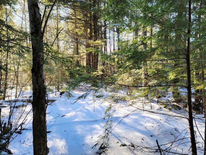 Property Photo:  27 Trout Brook Road  ME 04605 