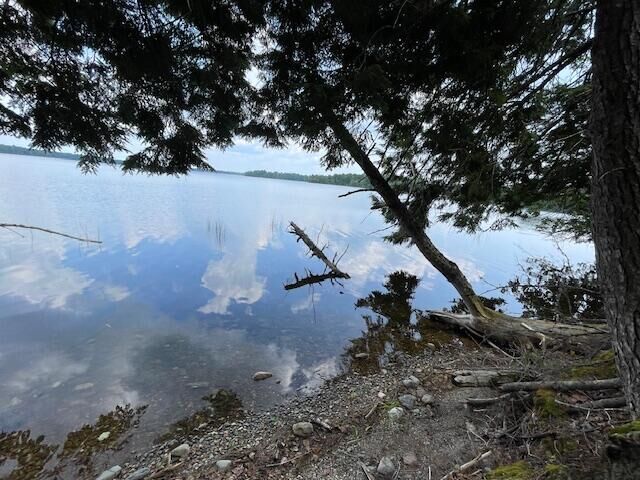 Property Photo: 40 Blackcat Pt Drive ME 04668