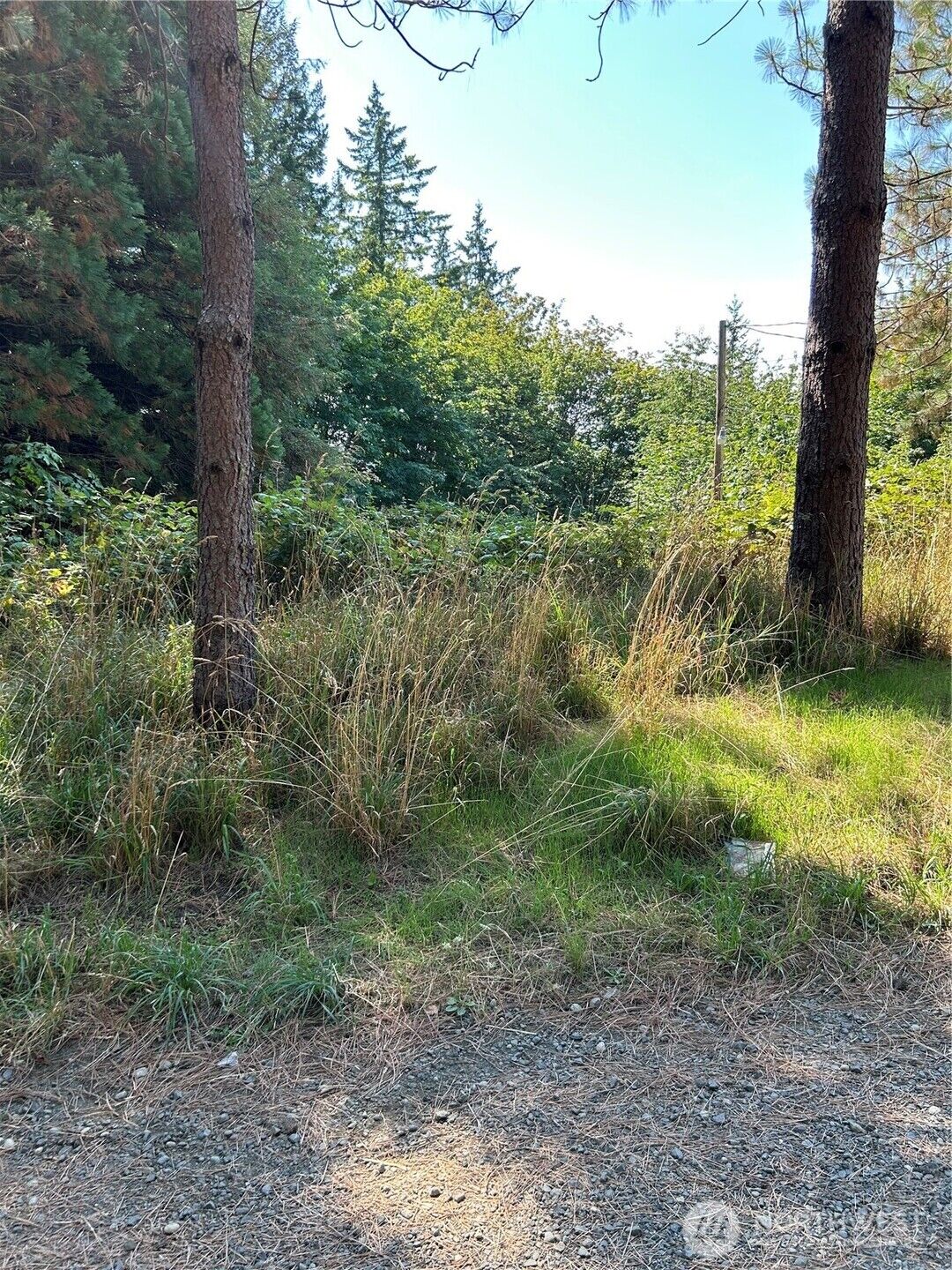Property Photo: 0 Hazel 001 Street WA 98584