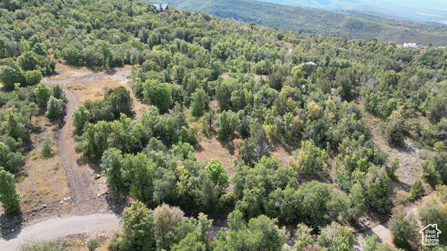 22045 N 14376 E 62  Fairview UT 84629 photo