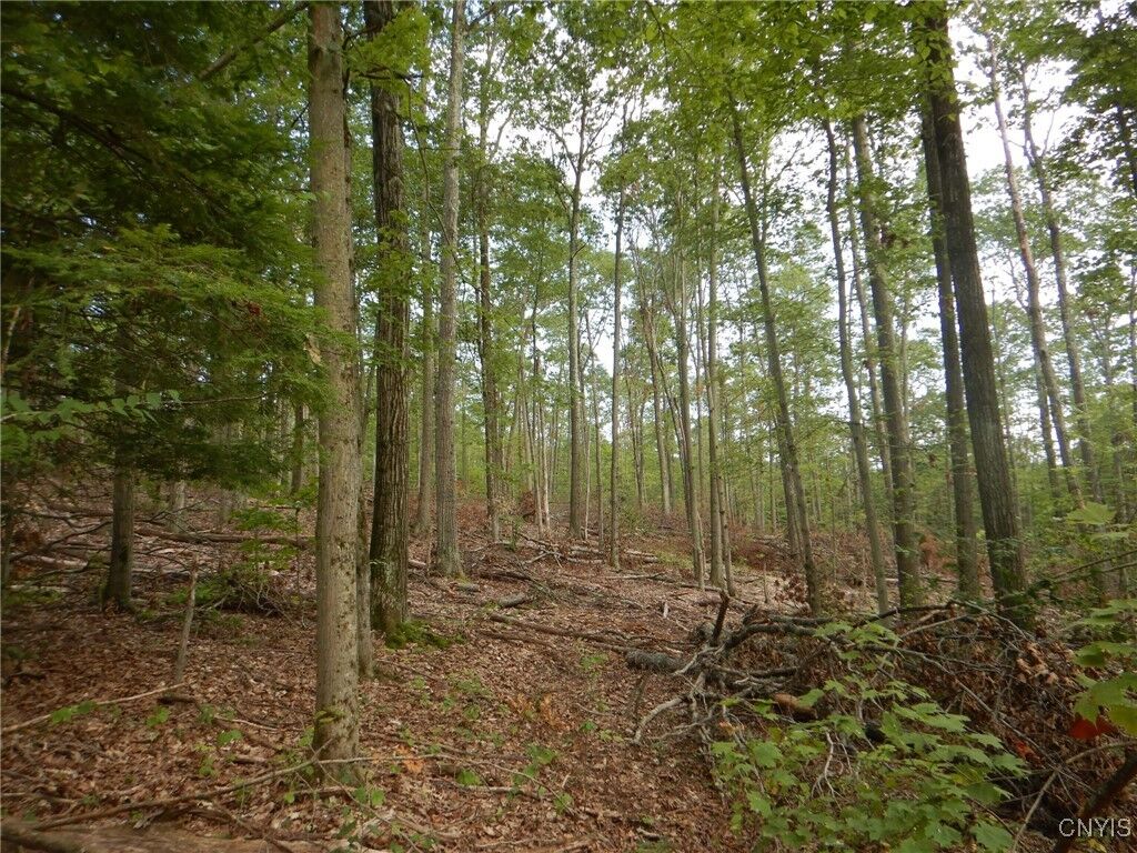 Property Photo:  Perry Road  NY 13835 