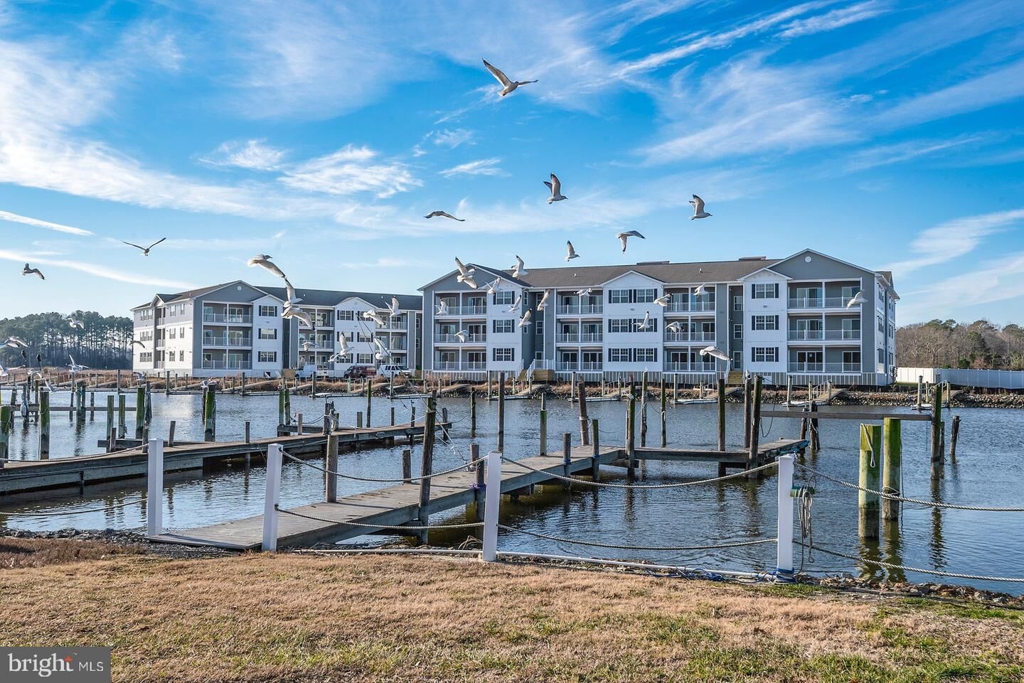 Property Photo: 33707 Skiff Alley 207 DE 19958