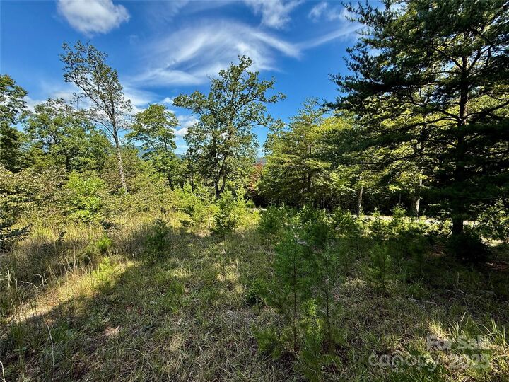 Property Photo:  0 Hibiscus Court 5  NC 28746 