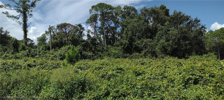 Property Photo: 1038 Redbird Street FL 33852