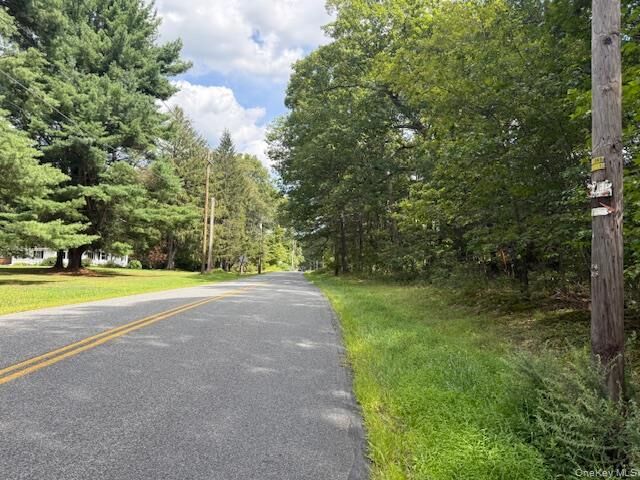 Lot 1 Shoddy Hollow Road  Otisville NY 10963 photo