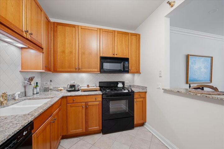 Property Photo: 25 E Superior Street 605 IL 60611